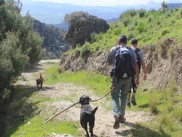 El Camino de Santiago con Perro