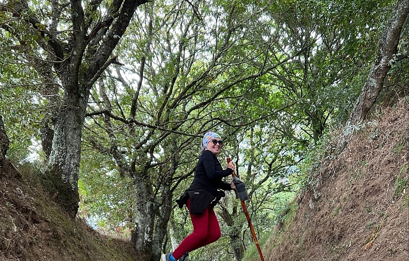 Sostenibilidad en el Camino de Santiago: rutas más verdes y cuidadas