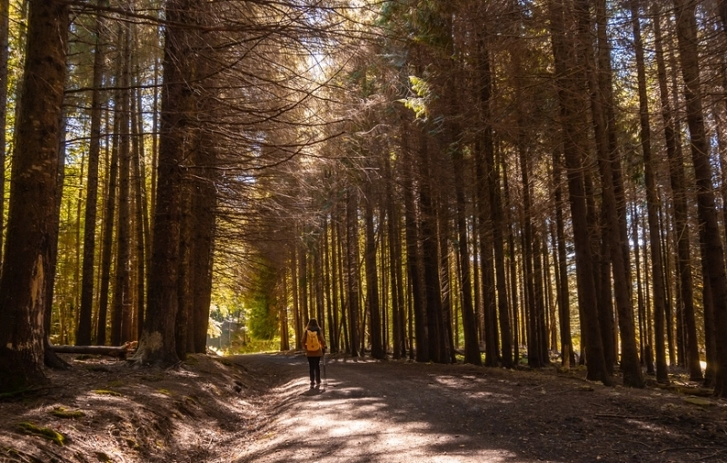 The Camino de Santiago Interpretation Centre surpasses 22,000 visitors