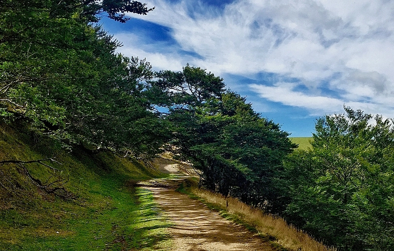 Los paisajes más bellos del Camino Francés gallego