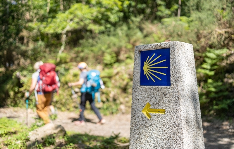 Camino Portugués desde Tui en grupo de amigos: una experiencia compartida