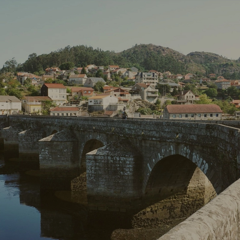  Camino Portugués  TUI - SANTIAGO Desde 360€ 