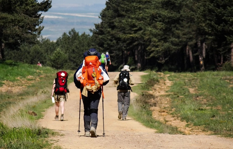 Camino Francés desde Sarria en grupo: una experiencia que une
