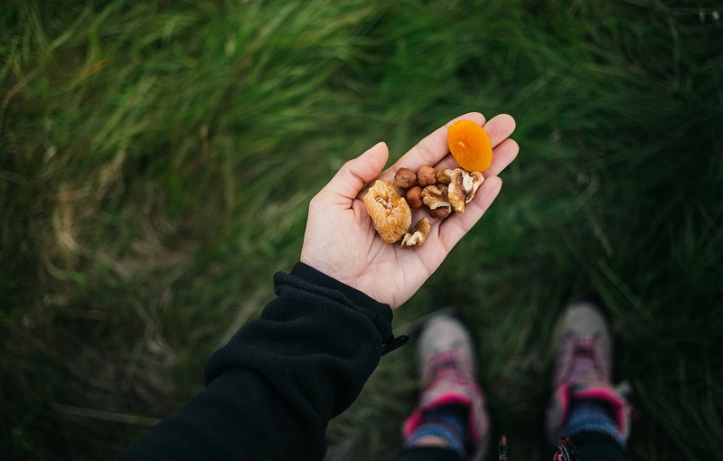 Camino de Santiago for vegans: tips and practical guide