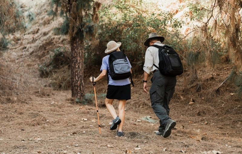 El Camino de Santiago para mayores de 60: consejos y mejores rutas