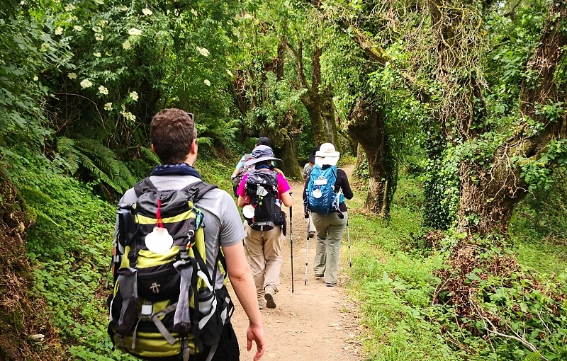 Ecoturismo en el Camino de Santiago: una peregrinación sostenible