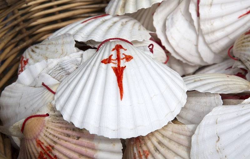 Palas de Rei: a crossroads of Jacobean routes in the heart of Galicia