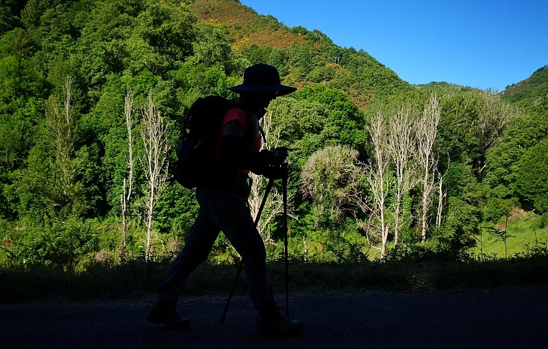 Legends of the Portuguese Way: the mysteries of the Camino de Santiago
