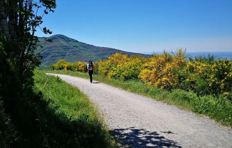 Itinerario O Cebreiro - Santiago: qué ver, conocer y probar en el Camino de Santiago