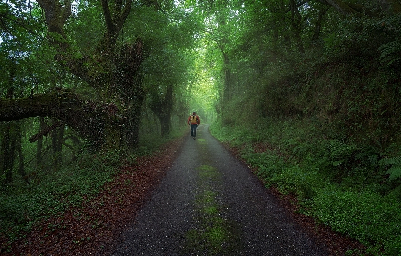 El Camino de Santiago en invierno: paisajes tranquilos y una experiencia diferente.