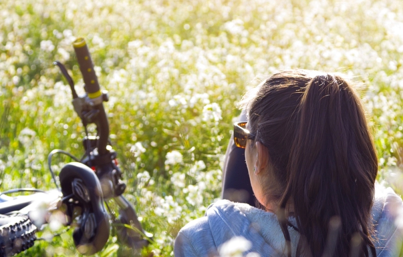 The Camino de Santiago in May.