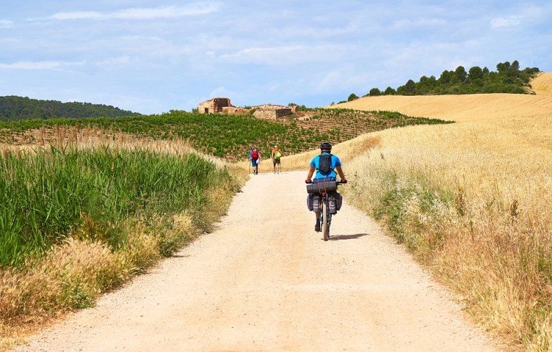 Experience the Unique Adventure of Cycling the Camino de Santiago