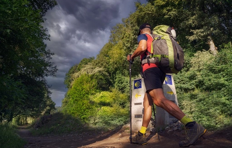 Camino de Santiago Organizado 2026