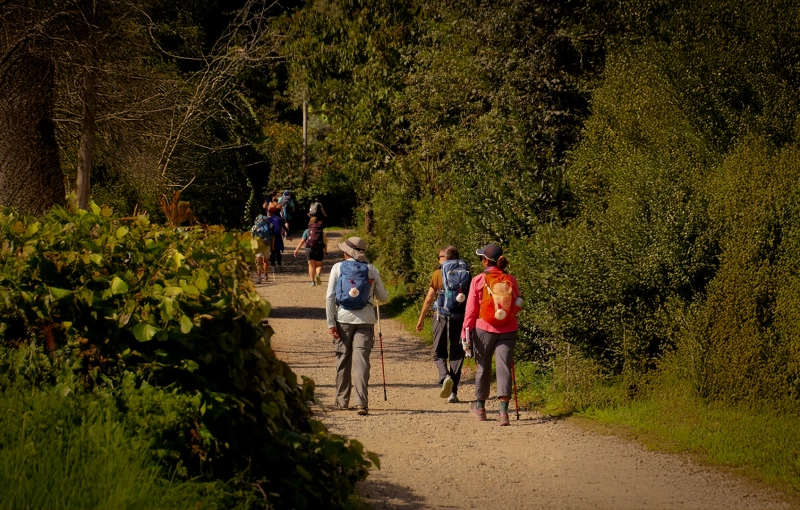 Camino de Santiago para Grupos plaza a plaza y con guía