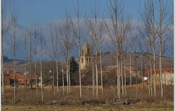 VP24 - Benavente - Alija del Infantado - 22,1 km