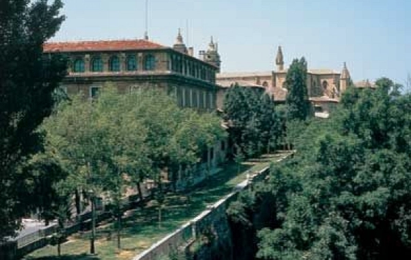 CF03 - Zubiri - Pamplona - 20 km