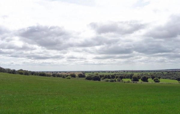 VP22 - Montamarta - Granja de Moreruela - 22,7 km