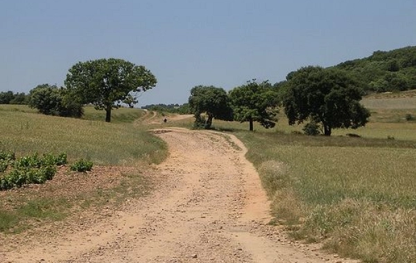 CF23 - León - Villadangos del Páramo - 21,8 km