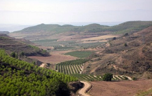 CF07 - Los Arcos - Viana - 18 km