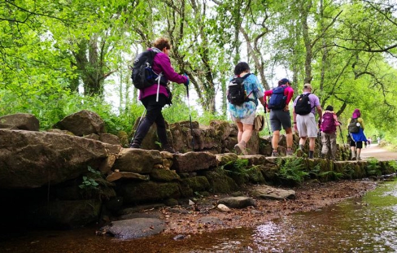 Camino de Santiago para Grupos