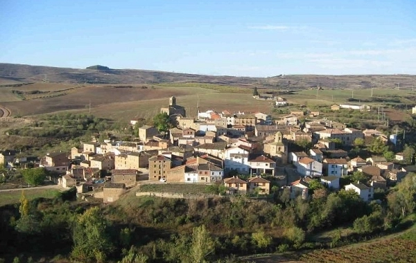 CF06 - Estella - Los Arcos - 20,6 km
