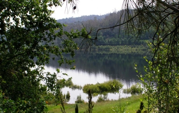 CF33 - Palas del Rei - Arzúa - 28,6 km