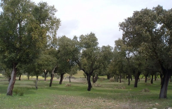 VP19 - Salamanca- El Cubo de la Tierra del Vino - 35 km
