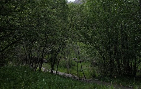 CF27 - Molinaseca - Villafranca del Bierzo - 30,5 km