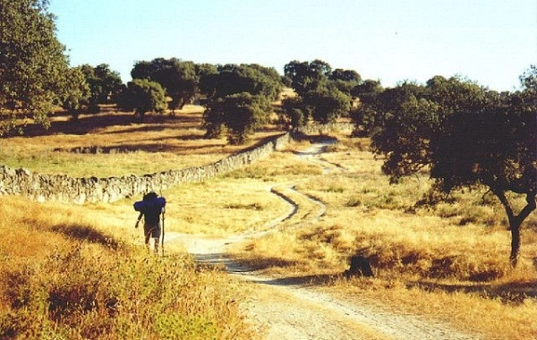 VP09 - Mérida - Alcuéscar - 36 km