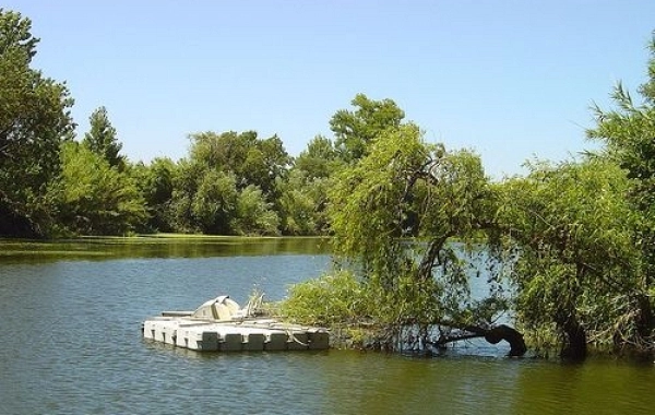 CP04 - Santarem - Golega - 30,5 km
