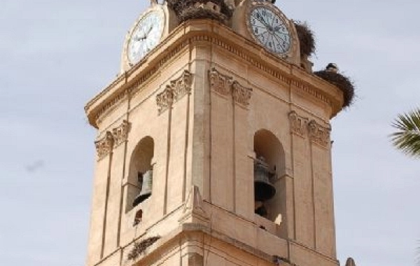 VP05 - Monesterio-Fuente de Cantos - 21,6 km