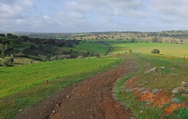 VP05 - Monesterio-Fuente de Cantos - 21,6 km
