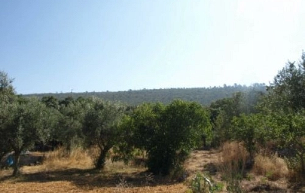 CP06 - Tomar - Alvaiazere - 32,0 km