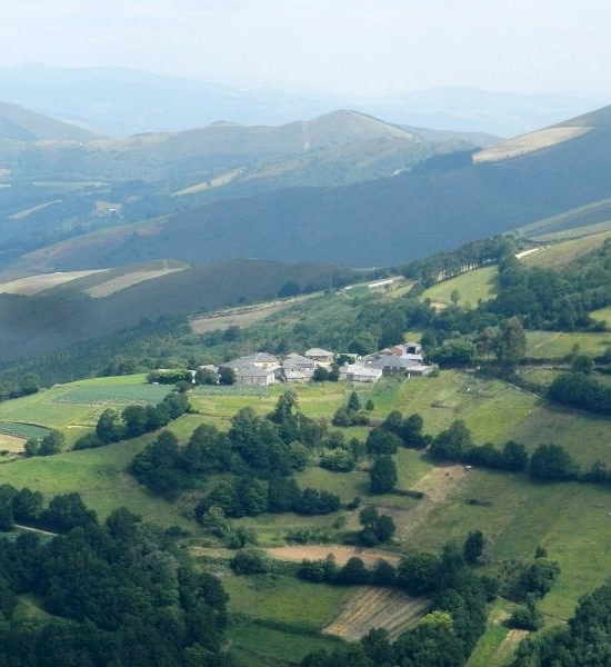 Camino Primitivo