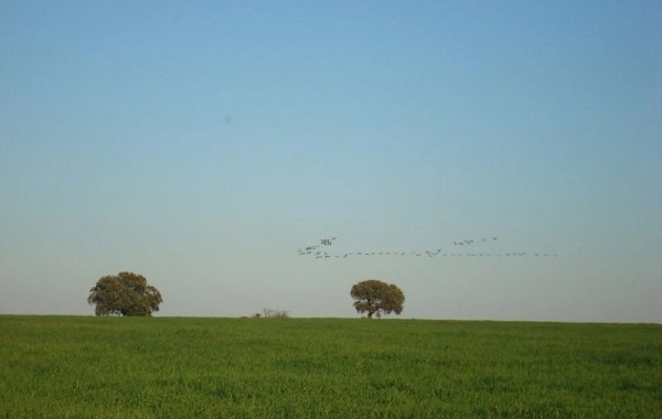 VP07 - Zafra - Almendralejo - 36,7 km