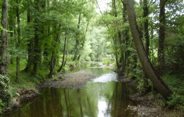 CF30 - Triacastela - Sarria - 22 km
