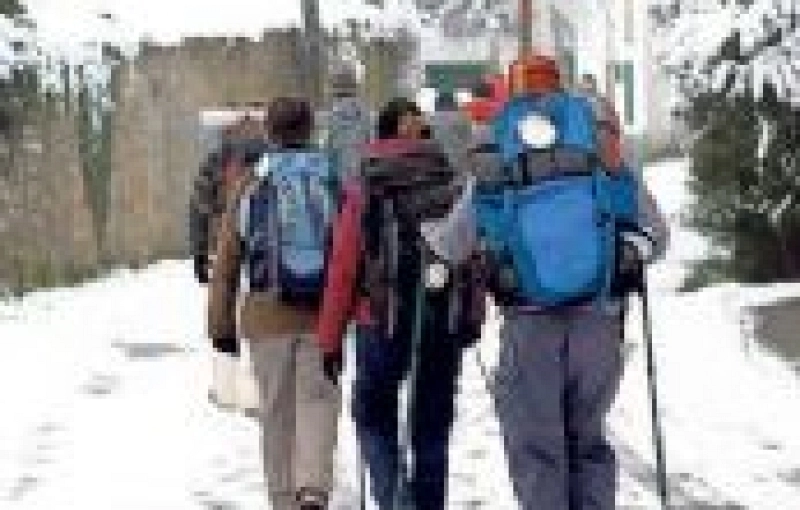 Roncesvalles cayó un 6% este Xacobeo