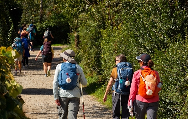 Sarria - Santiago de Compostela on Foot in a Group