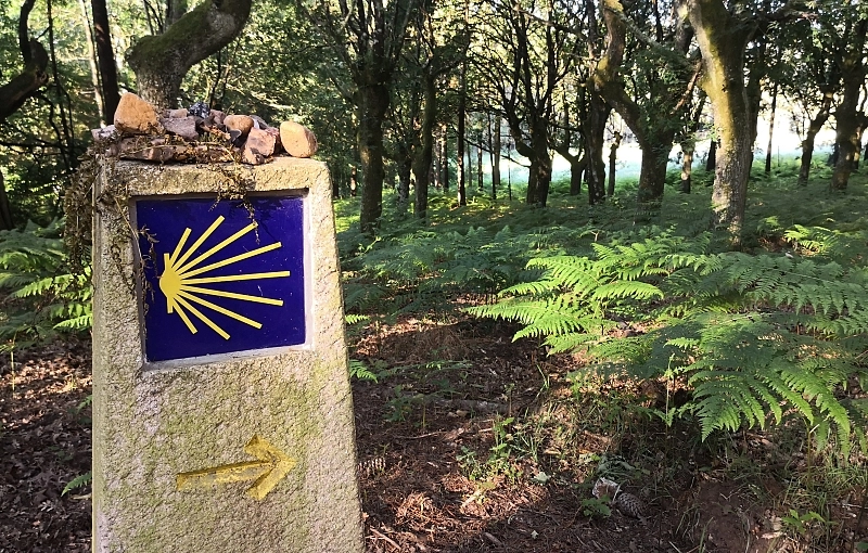 ¿Por qué los peregrinos dejan piedras en los caminos?