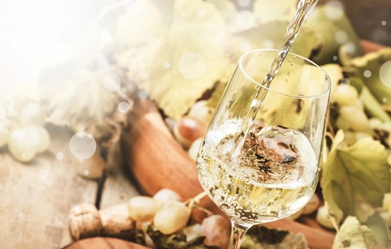 Viñedos y albariños del Camino Portugués